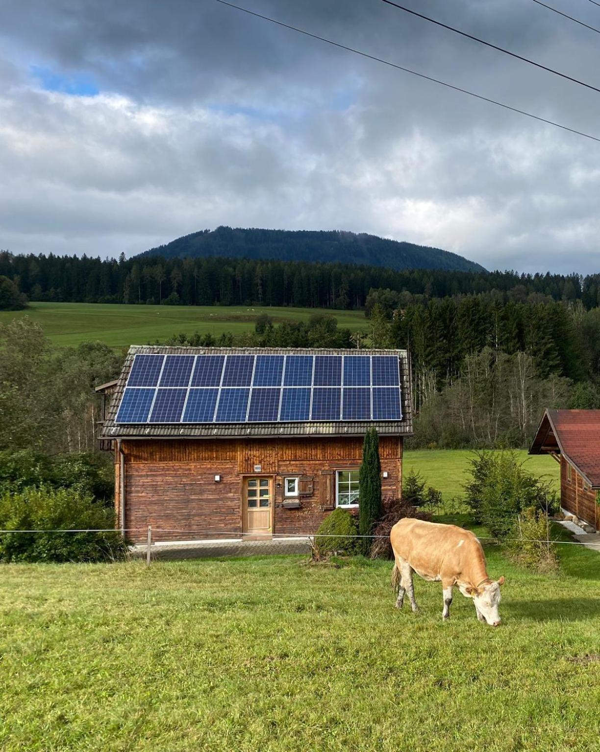 Ferienhaus In Mariahof Eksteriør billede